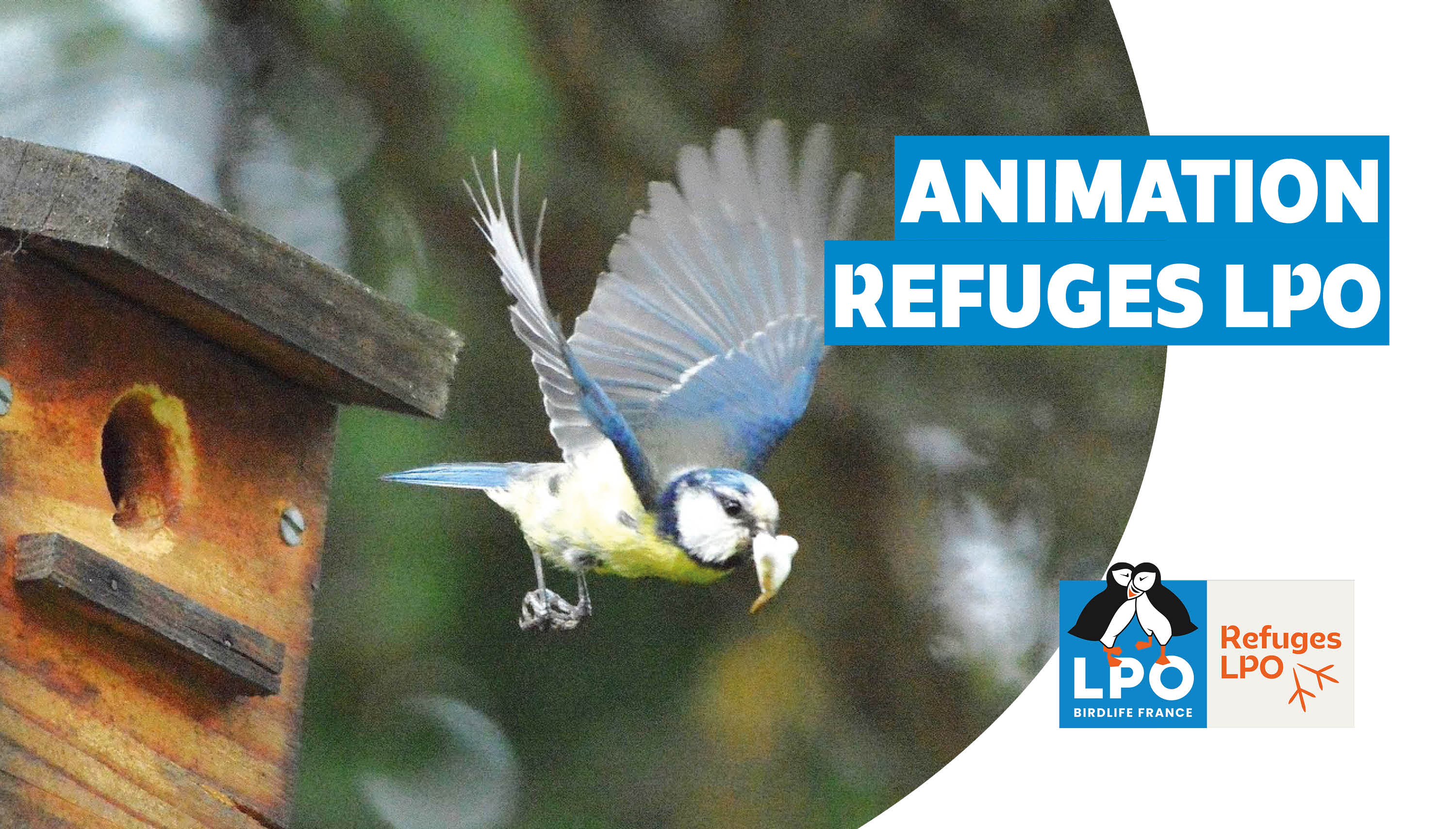 Visite d'un jardin Refuge LPO